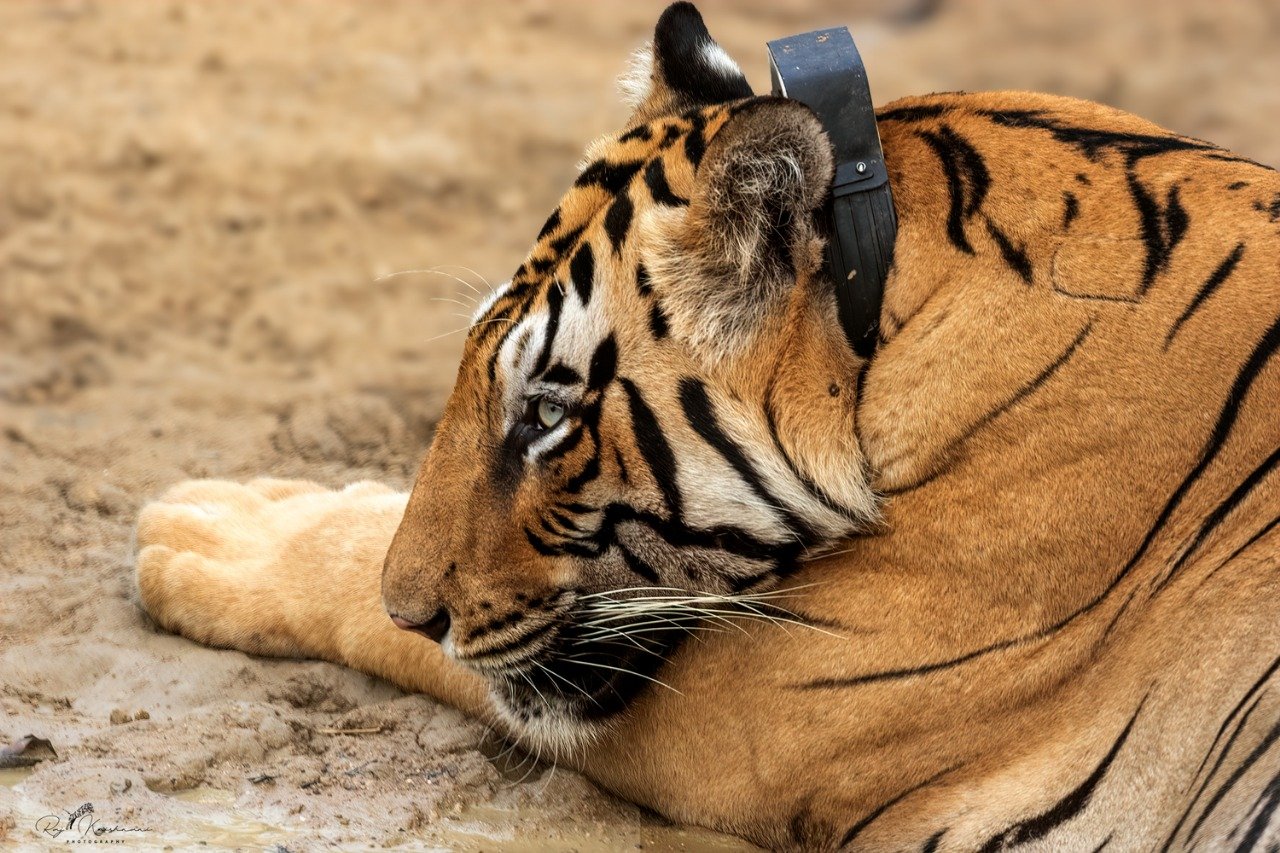 1900876f-94b7-465c-afc5-2d3f4756385e